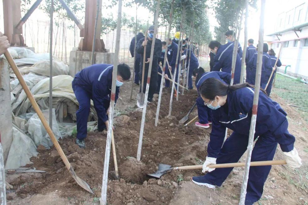 沖床廠區(qū)植樹